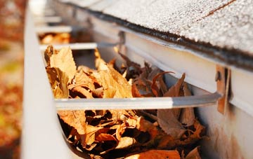 Grayswood gutter cleaning companies