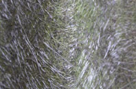 Grayswood fibreglass roof work