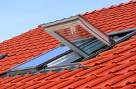 Grayswood roof window